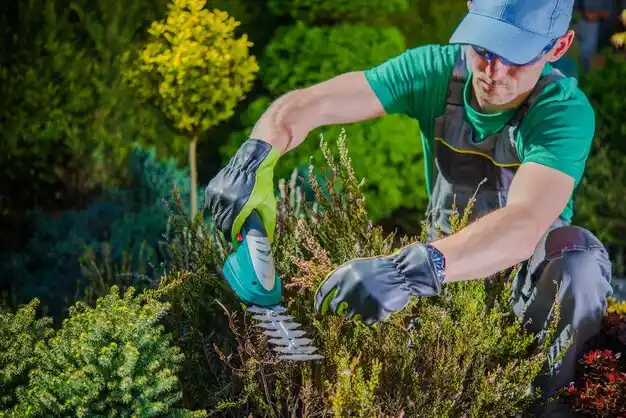 landscaping services Russell Springs